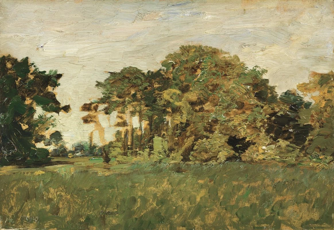 Nel parco